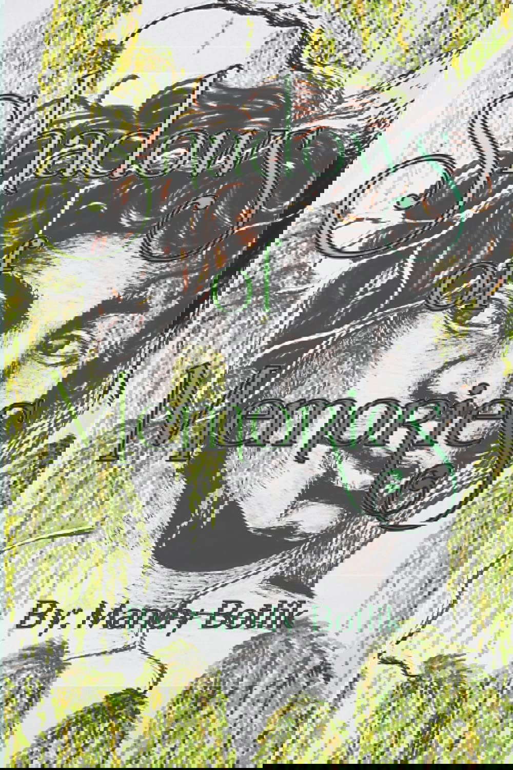 Shadows of Memories (Mamera's Wars) poster