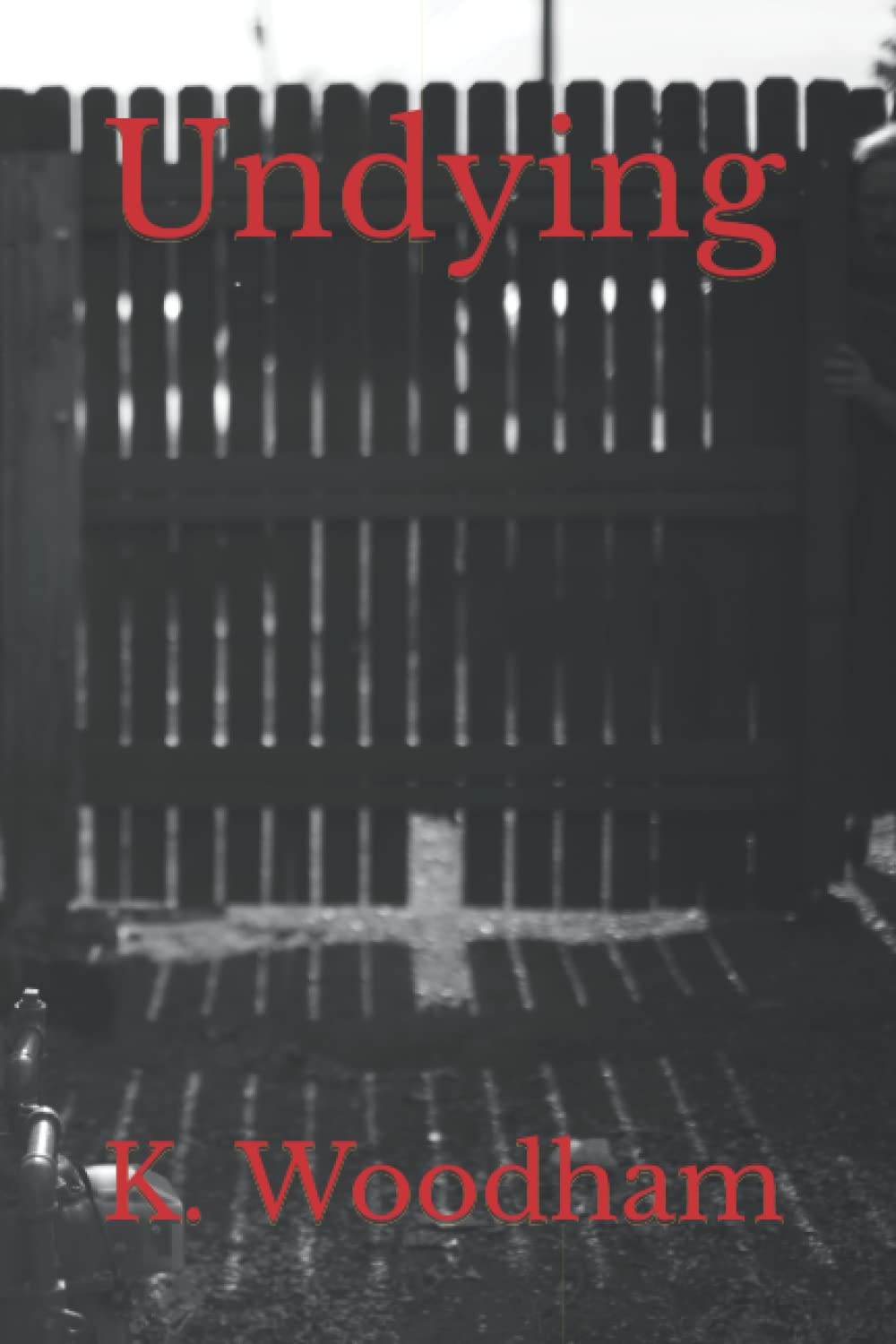 Undying poster