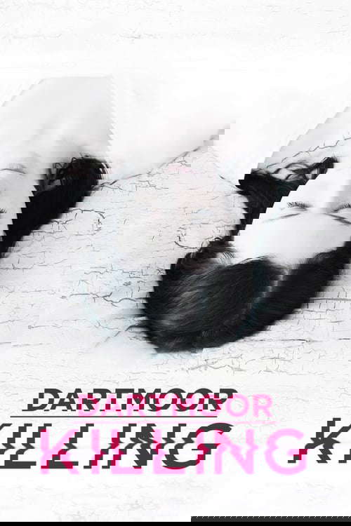 Dartmoor Killing poster