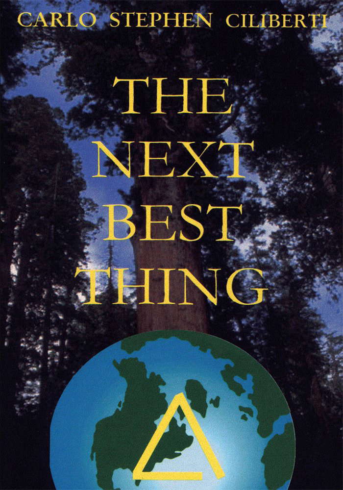 The Next Best Thing poster