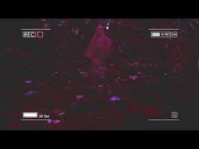 ENCOUNTER (found footage short film) poster