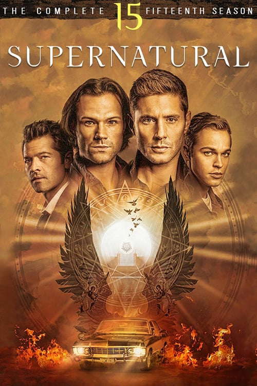 Season 15 poster