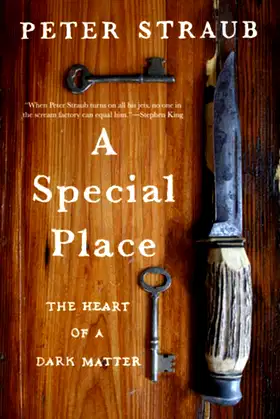 A Special Place: The Heart of a Dark Matter poster