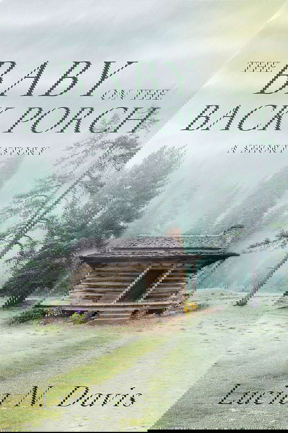 The Baby on the Back Porch: A Short Story (Dunnhill Mysteries Book 1) poster