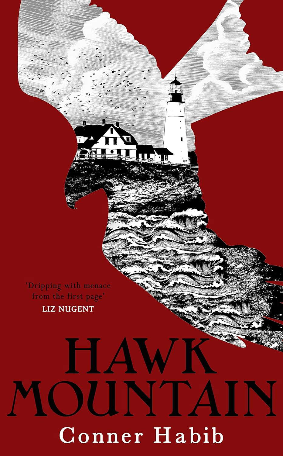 Hawk Mountain: A highly suspenseful and unsettling literary thriller poster