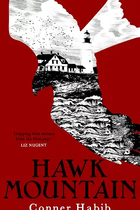 Hawk Mountain: A highly suspenseful and unsettling literary thriller poster