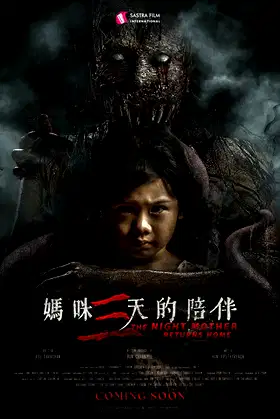 The Night Mother Returns Home poster