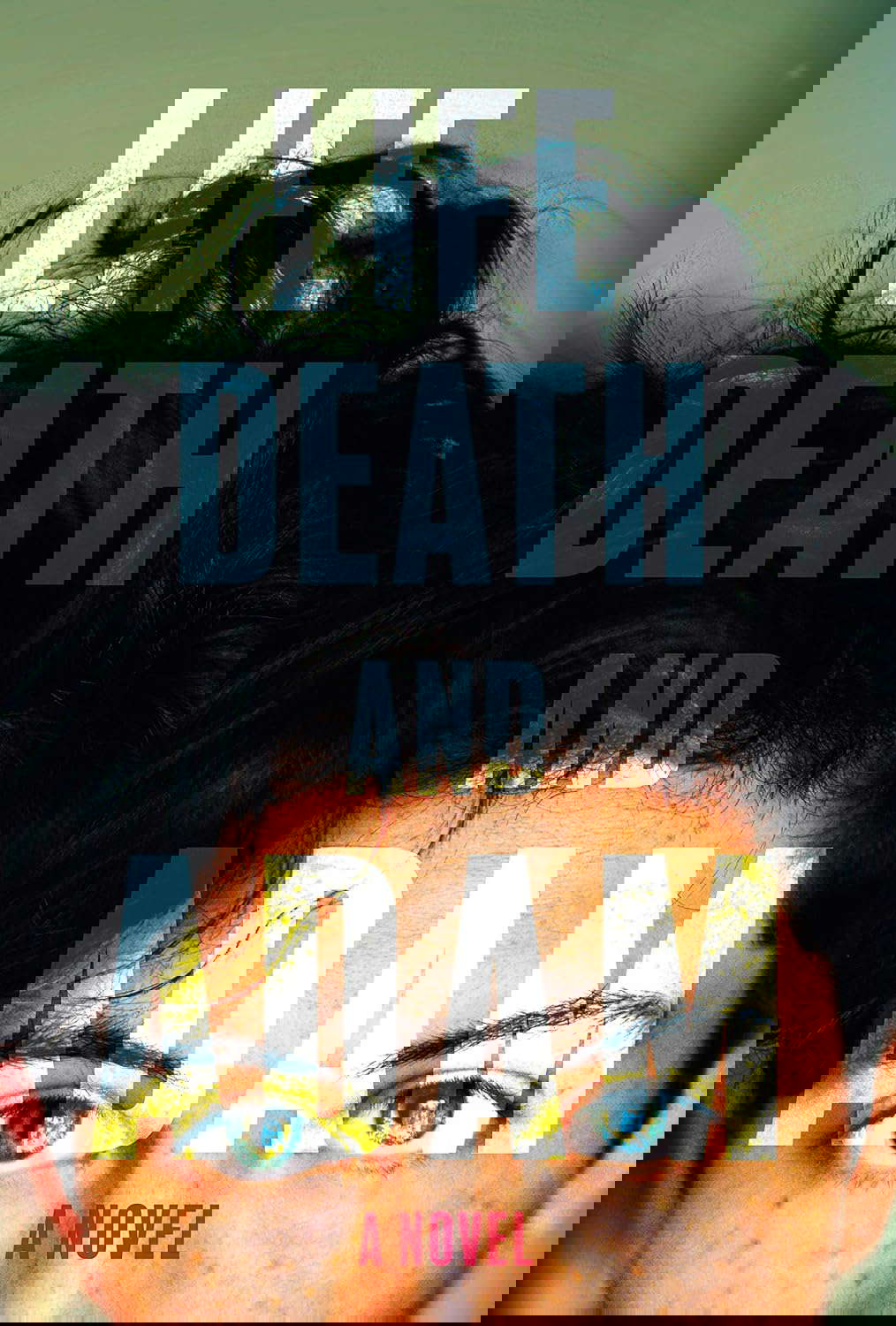 Life, Death and Adam poster