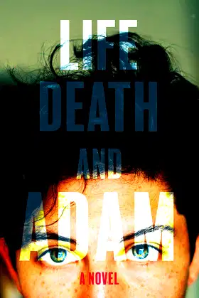Life, Death and Adam poster