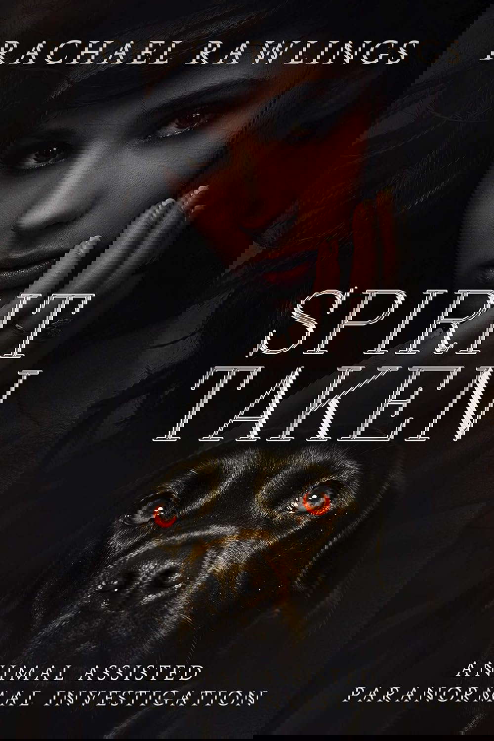 Spirit Taken: Animal Assisted Paranormal Investigation poster