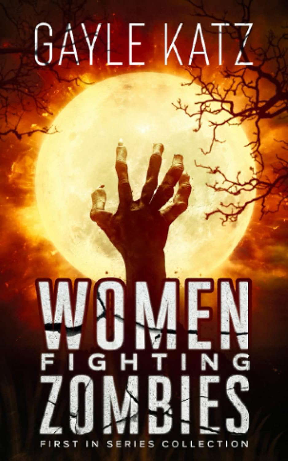 Women Fighting Zombies: First In Series Collection poster