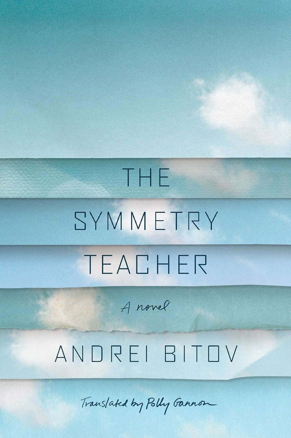 The Symmetry Teacher: A Novel poster