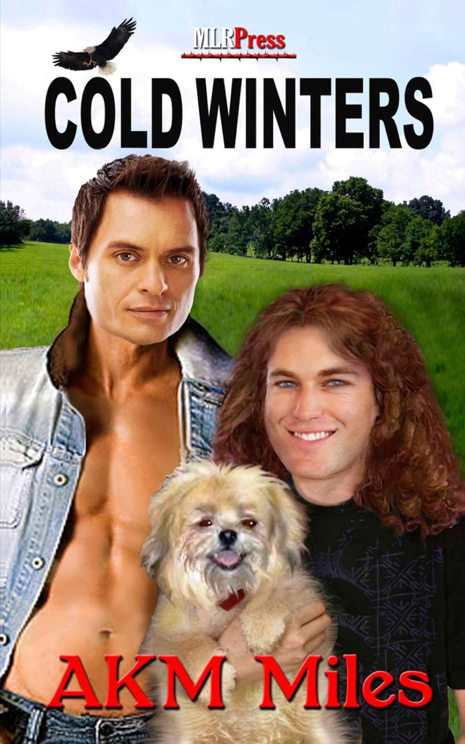 Cold Winters poster