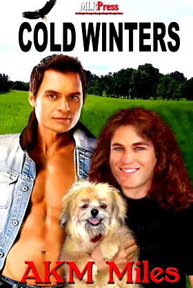 Cold Winters poster