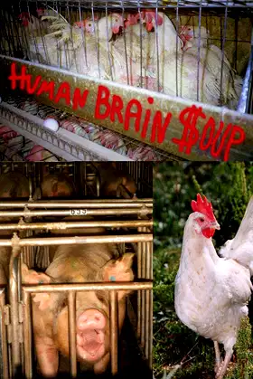 Human Brain Soup poster