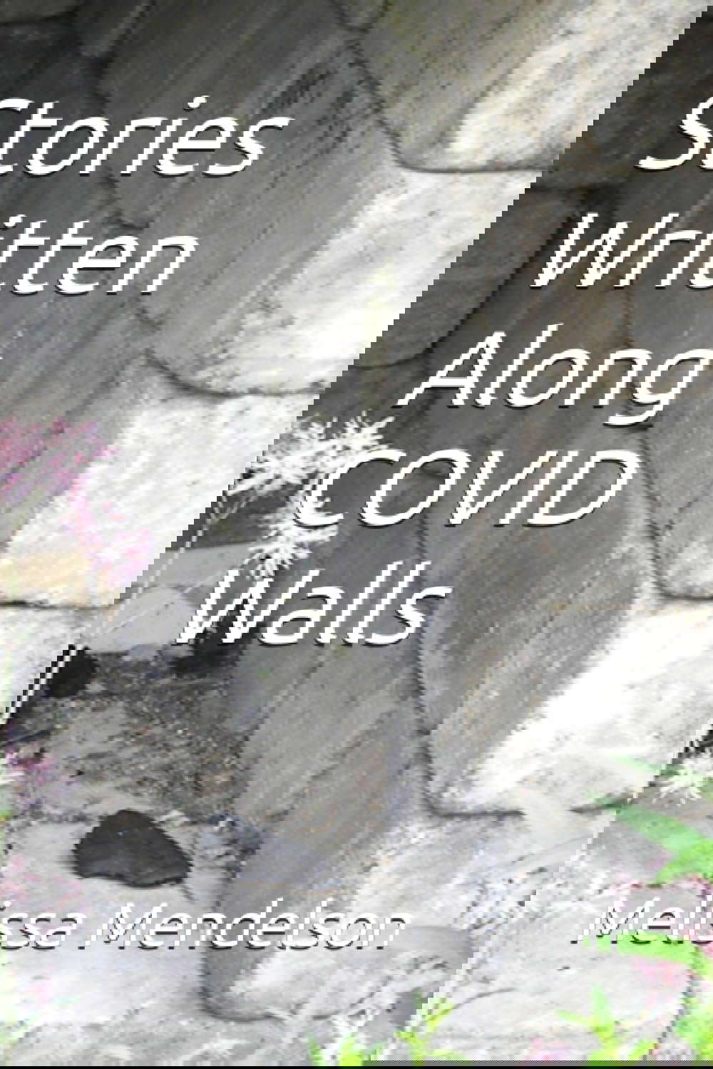 Stories Written Along COVID Walls poster