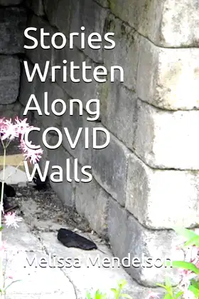 Stories Written Along COVID Walls poster