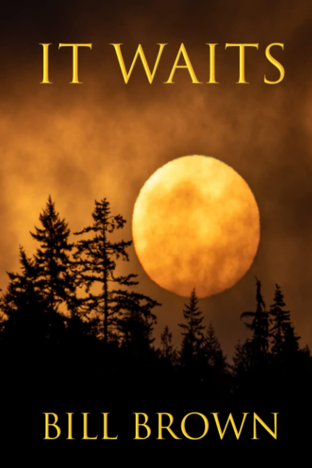 It Waits poster