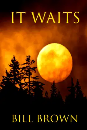 It Waits poster