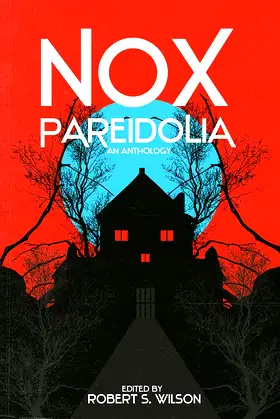 Nox Pareidolia poster