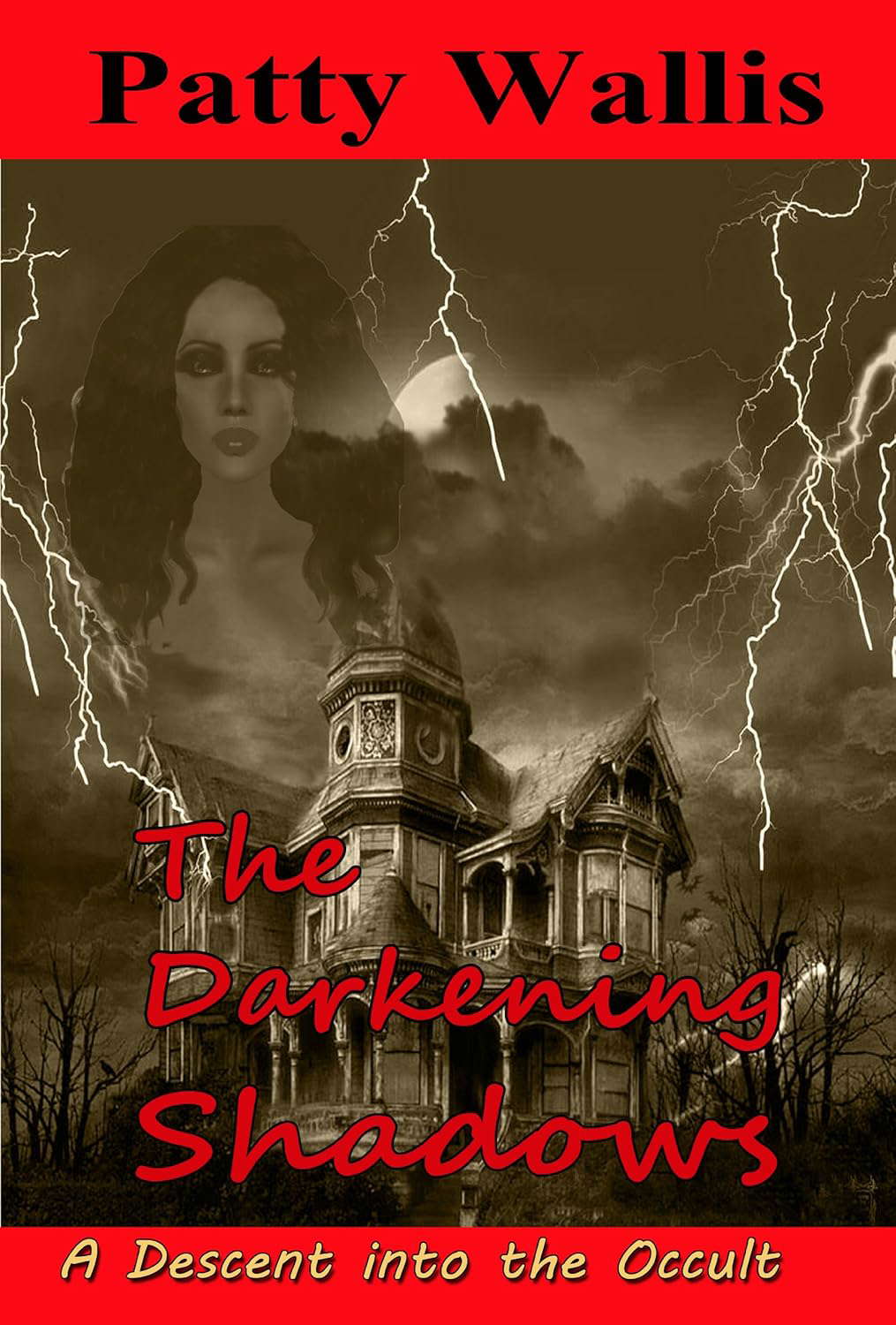 The Darkening Shadows poster