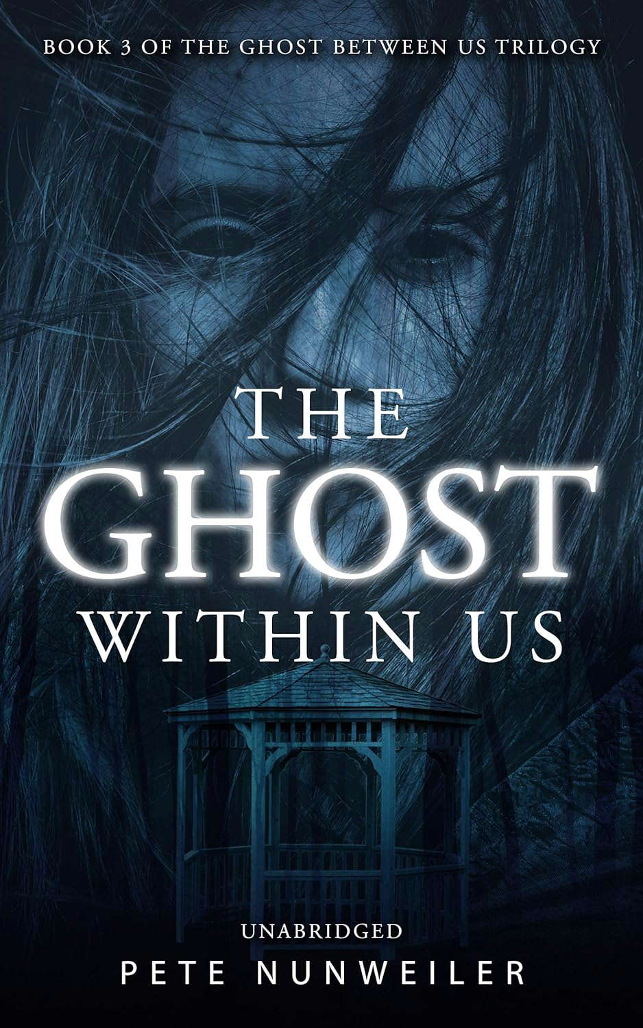 The Ghost Within Us: Unabridged (The Ghost Between Us Series Book 3) poster