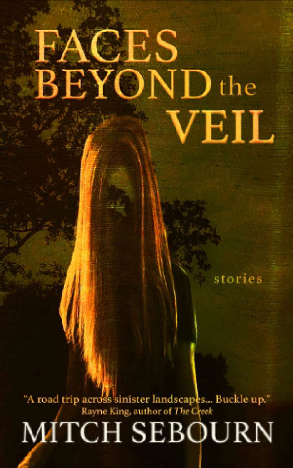 Faces Beyond the Veil: Stories poster