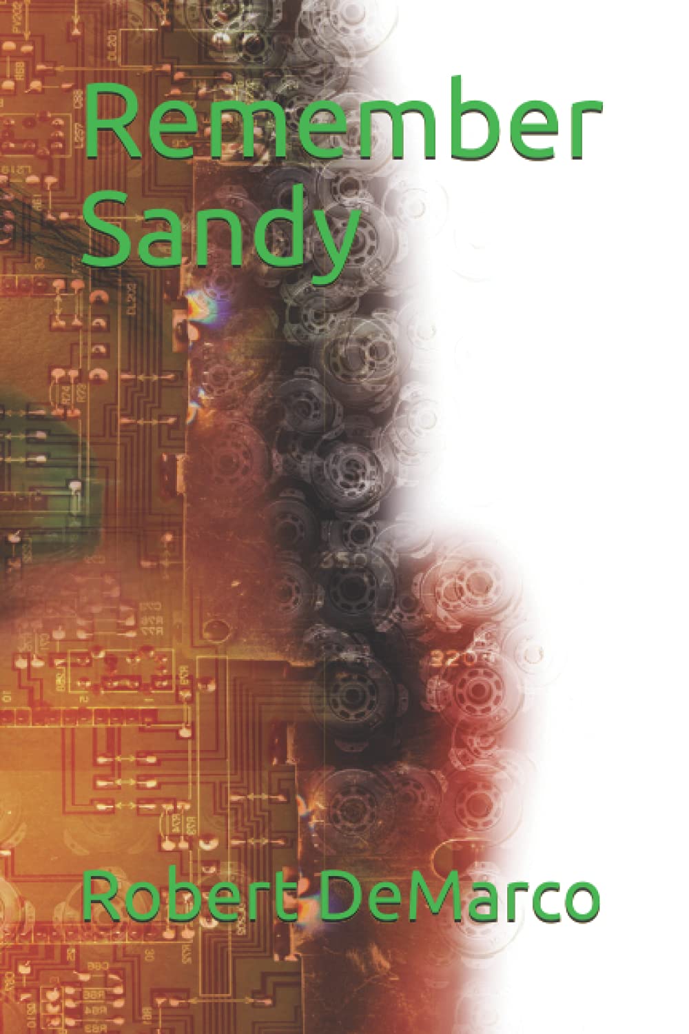 Remember Sandy poster