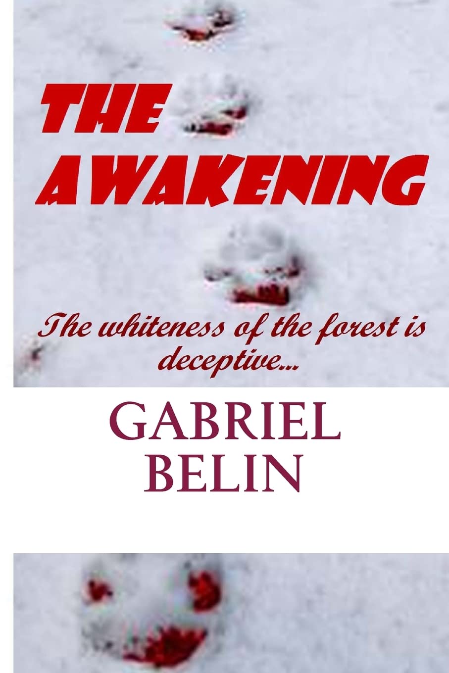 The Awakening poster