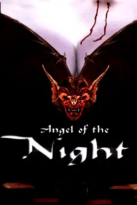 Angel of the Night poster