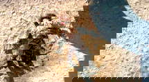 episode poster