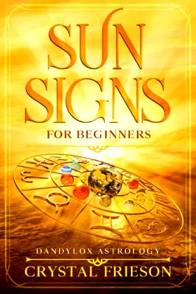 Sun Signs for Beginners: DandyLox Astrology poster