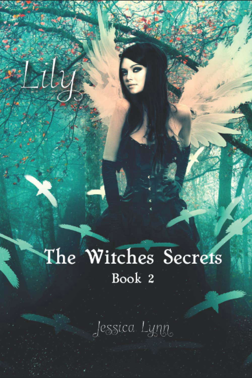 Lily: Book 2 of the Witches Secret Series poster