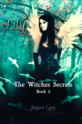 Lily: Book 2 of the Witches Secret Series poster