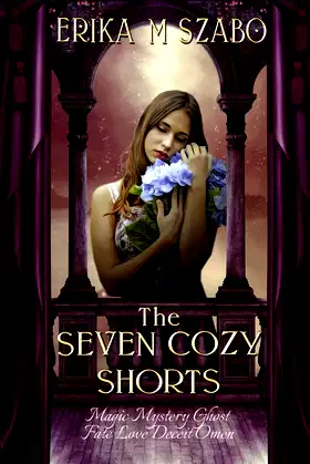 The Seven Cozy Shorts poster