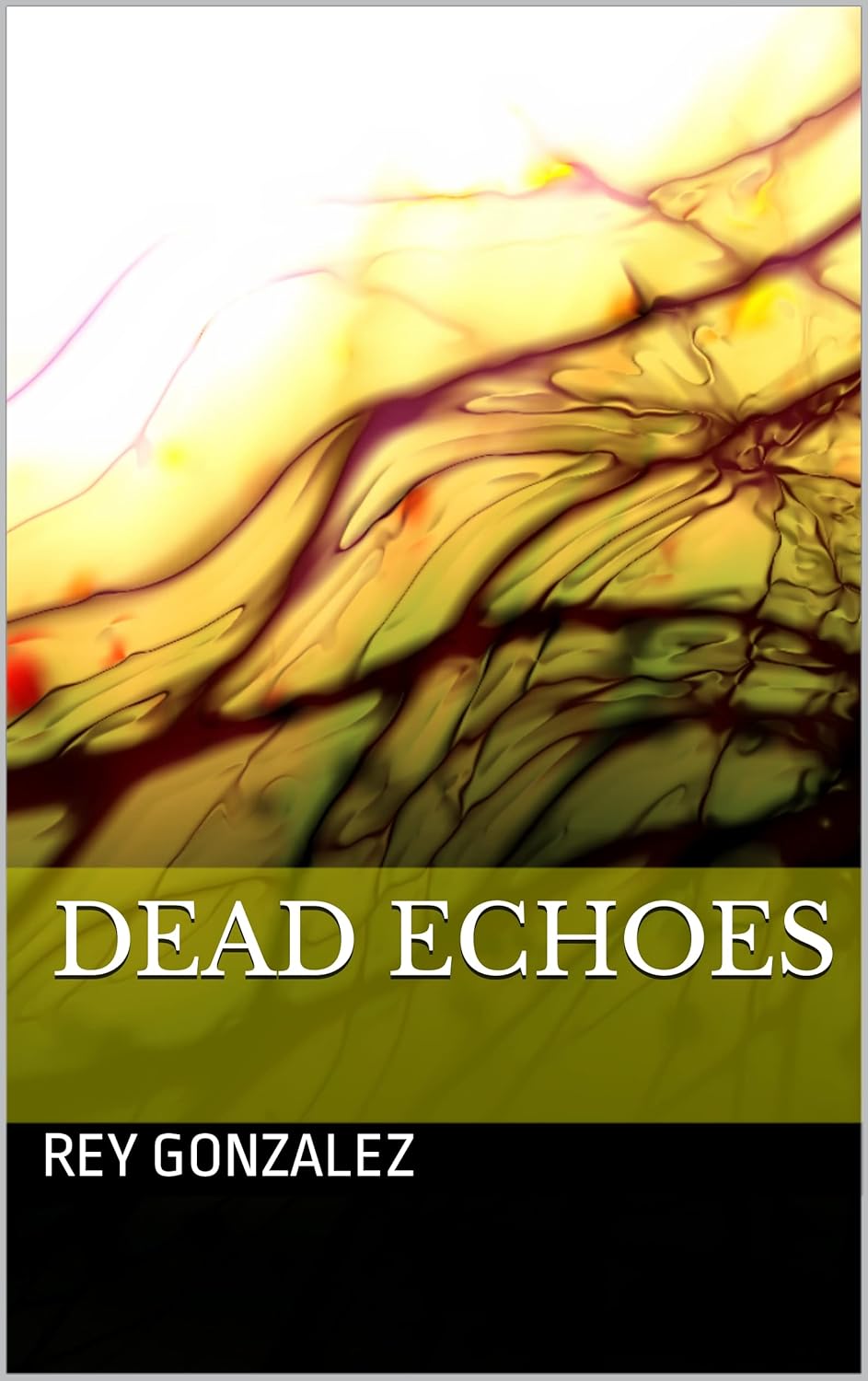 Dead Echoes poster