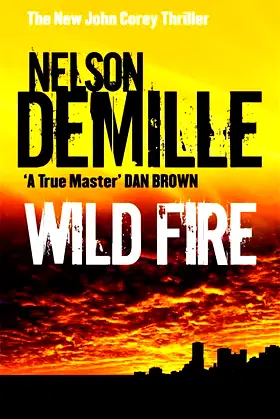 Wild Fire poster