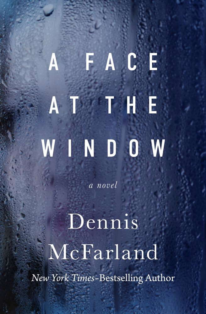A Face at the Window: A Novel poster