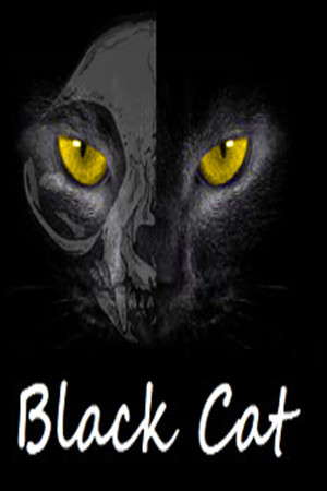 Black Cat poster