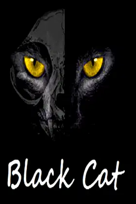 Black Cat poster