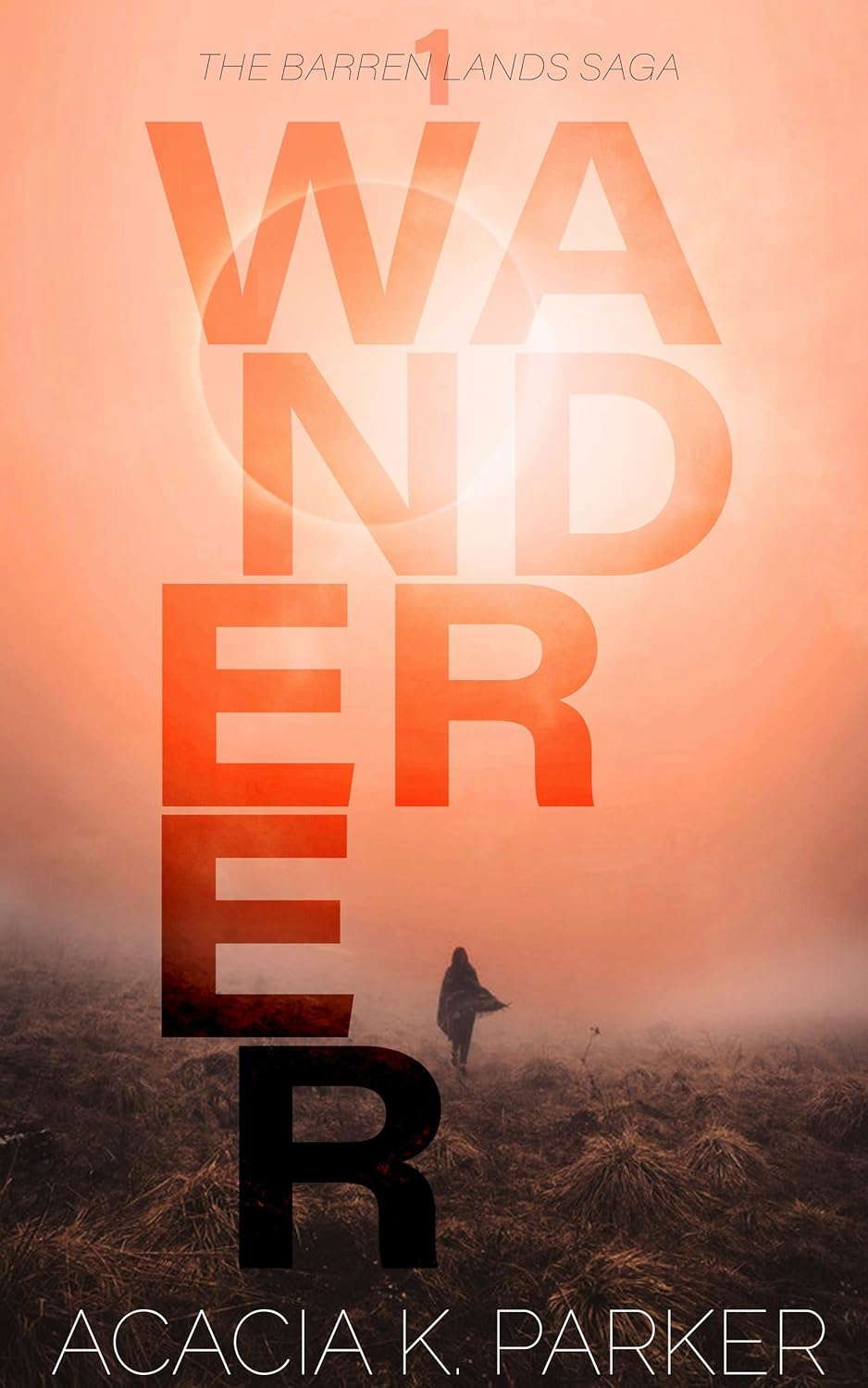 WANDERER (The Barren Lands Saga Book 1) poster