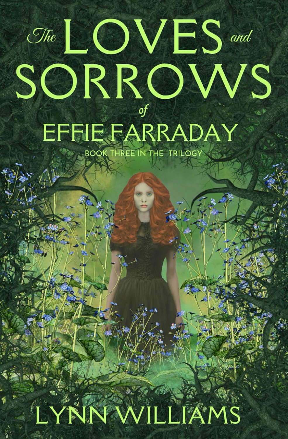 The Loves and Sorrows of Effie Farraday (The Effie Farraday trilogy) poster