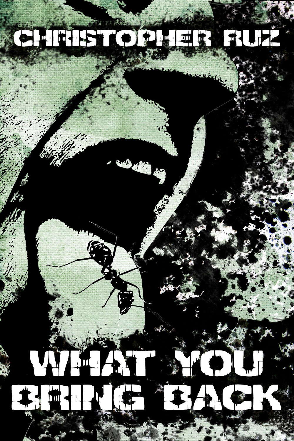What You Bring Back poster