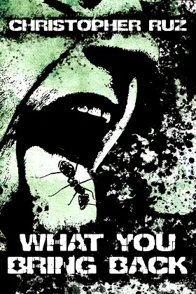 What You Bring Back poster