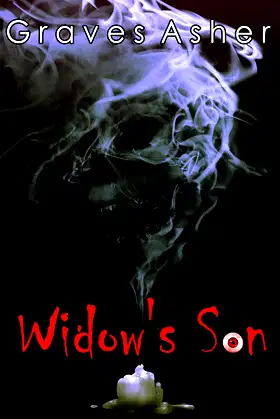 The Widow's Son (Mishmashers Presents [Readers Digested] Book 4) poster