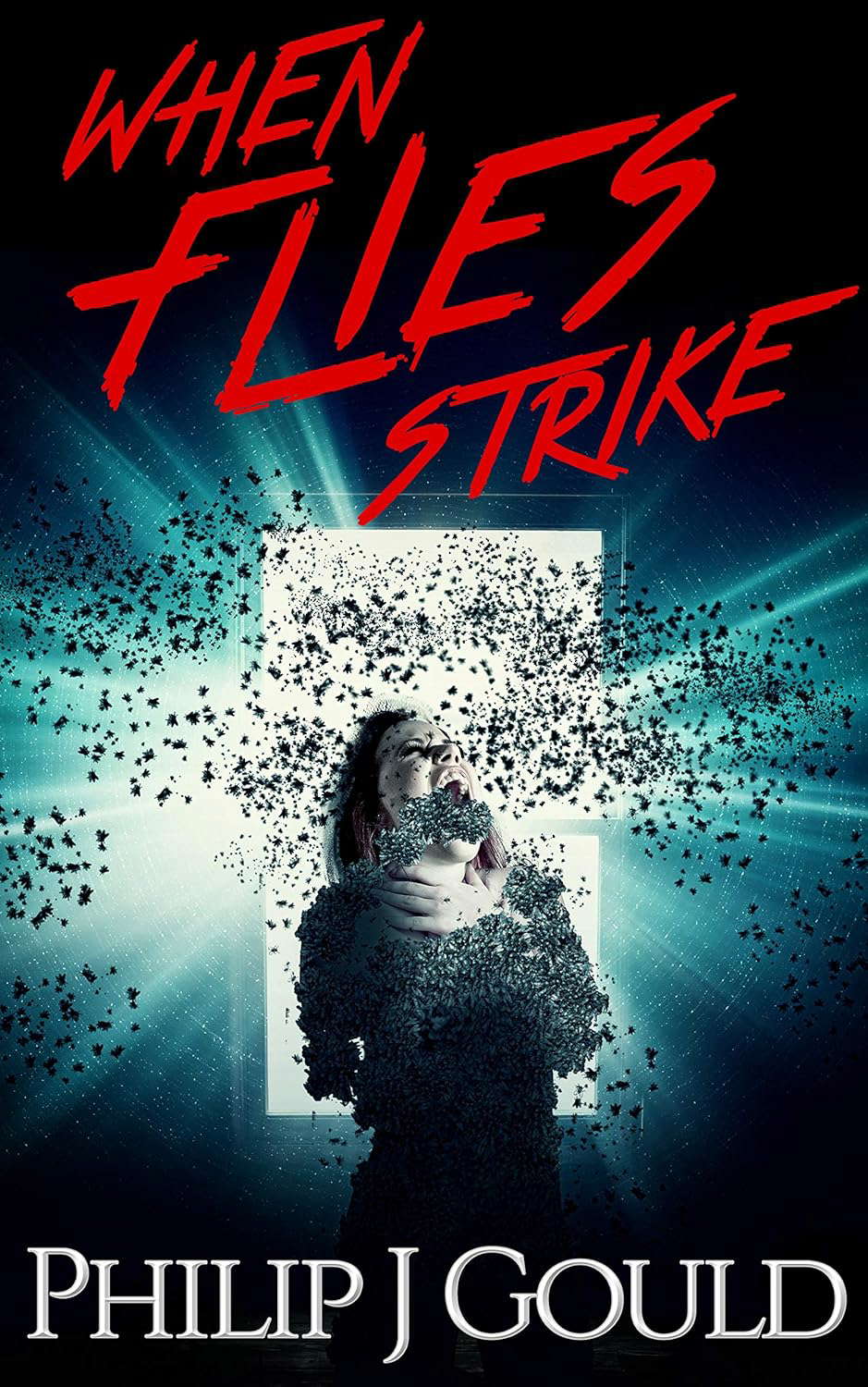When Flies Strike poster
