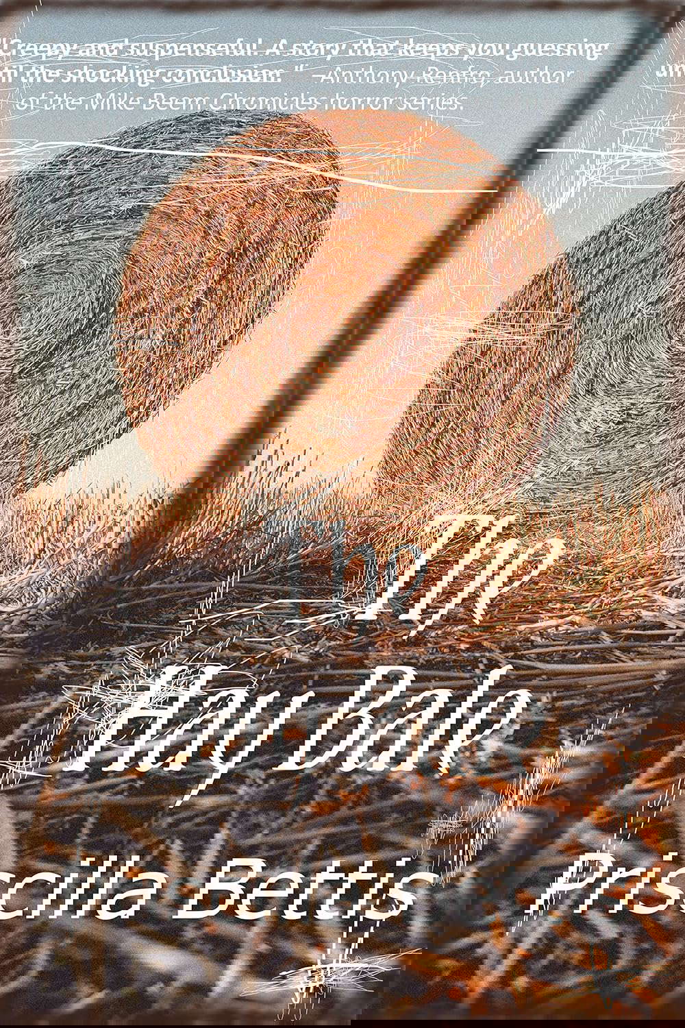 The Hay Bale poster