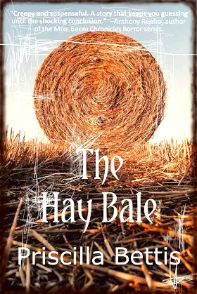 The Hay Bale poster