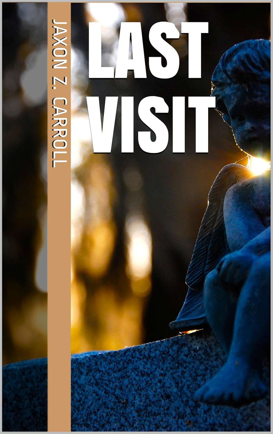 Last Visit poster