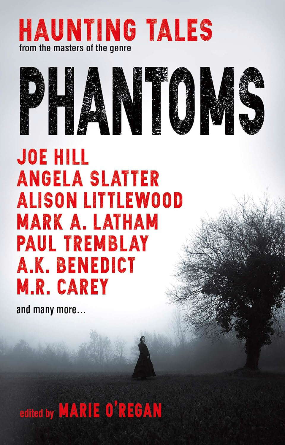 Phantoms: Haunting Tales from Masters of the Genre poster